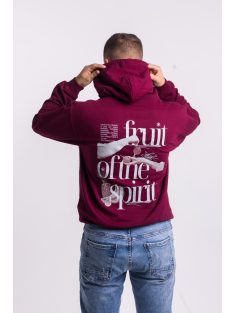 FRUIT OF THE SPIRIT pulover unisex